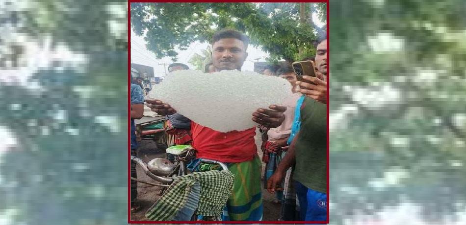 ঝিনাইদহে মাঠে পড়ে ছিল বিশাল এক শিলা খণ্ড