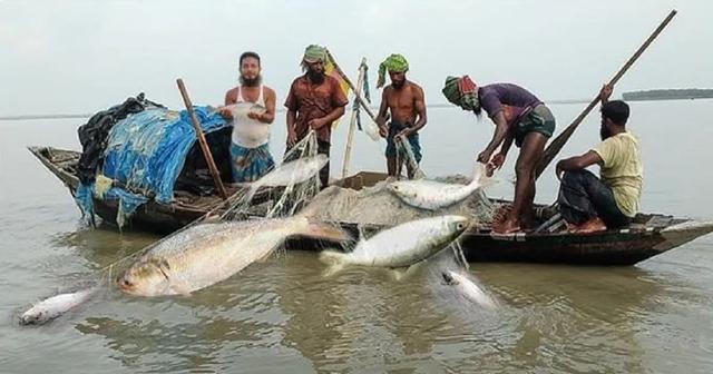 বঙ্গোপসাগরে ৫৮ দিনের মাছ ধরায়  নিষেধাজ্ঞা জারি
