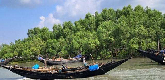 বঙ্গোপসাগর থেকে ২০ জেলেকে অপহরণ করেছে বনদস্যুরা