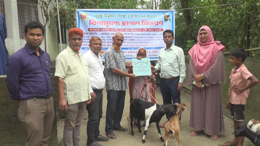 গঙ্গাচড়ায় বিনামূল্যে ছাগল বিতরণ করল দুঃস্থ উন্নয়ন সংস্থা (ডাস)
