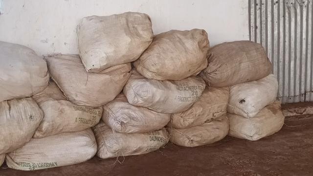 দেওড়াছড়া চা বাগানে ৯ হাজার কেজি চা পাতা বিক্রির অভিযোগ