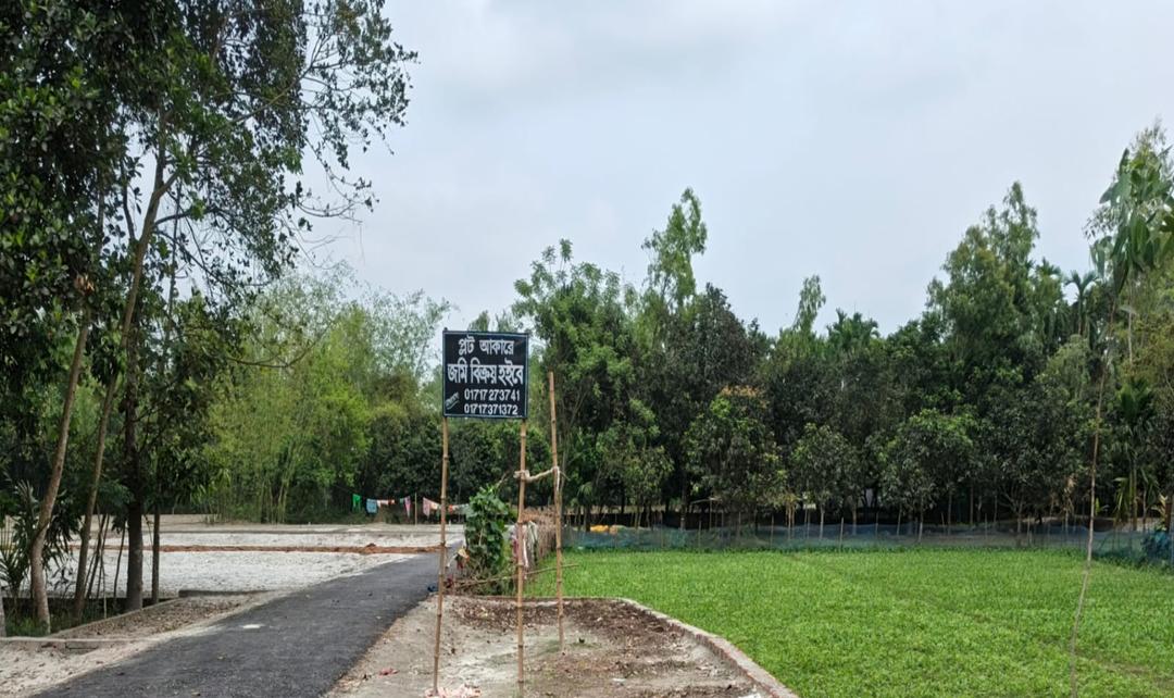 রংপুরে কমছে কৃষিজমি, বাড়ছে জনসংখ্যা: খাদ্য নিরাপত্তা শঙ্কায়