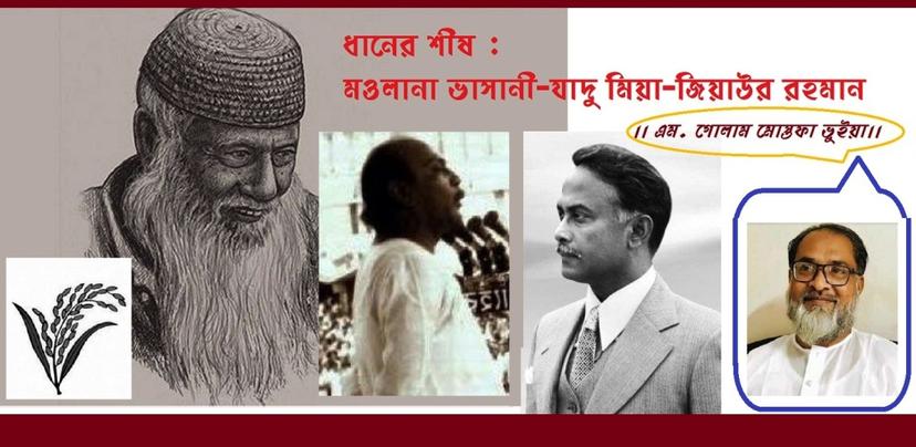 ধানের শীষ :  মওলানা ভাসানী-যাদু মিয়া-জিয়াউর রহমান