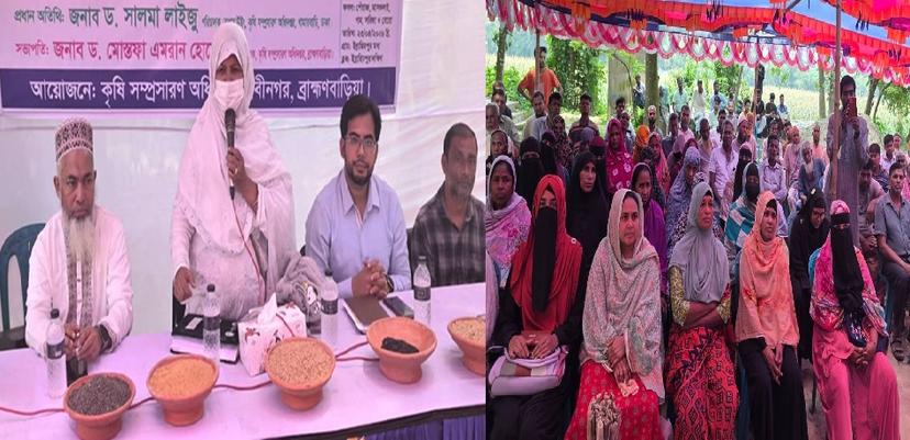 নবীনগরে ‘বি স্ট্রং’ প্রকল্পের বীজ প্রযুক্তি গ্রাম মাঠ দিবস অনুষ্ঠিত