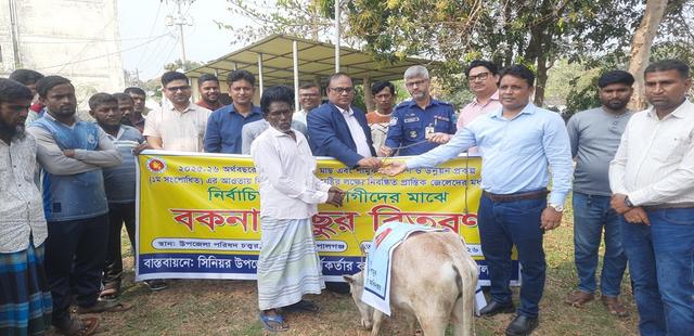 টুঙ্গিপাড়ায় ৬০ জেলের মাঝে বকনা বাছুর বিতরণ দেশীয় মাছ ও শামুক সংরক্ষণে অনন্য উদ্যোগ