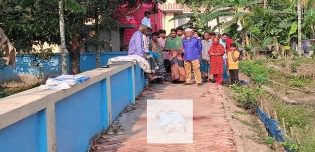 বাগেরহাটের শরণখোলায় কিশোরীকে জ/বা/ই করে হ/ত্যা,ম/র/দে/হ উদ্ধার