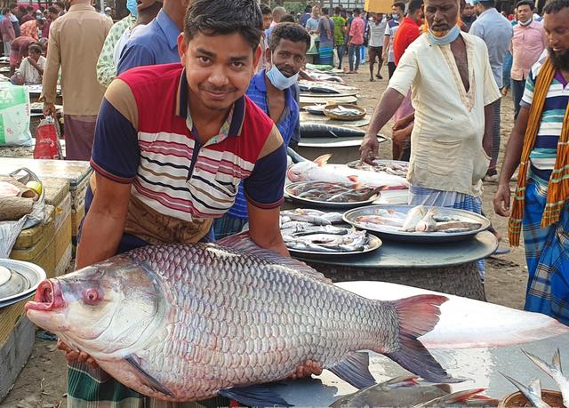 মাওয়া মৎস্য আড়তে মাত্র দুই ঘন্টায় দুই কোটি টাকার বিকি কিনি-