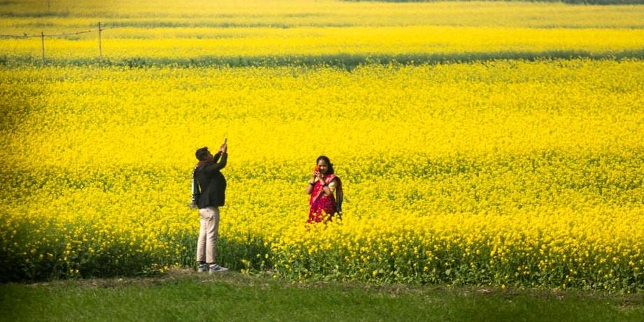 আঁকাবাঁকা মেঠো পথ; দুপাশে বিস্তীর্ণ ফসলি জমিতে সরষে ফুল। সবকিছু মিলিয়ে মনে হবে, প্রকৃতি যেন হলুদ রঙের গালিচা বিছিয়েছে।