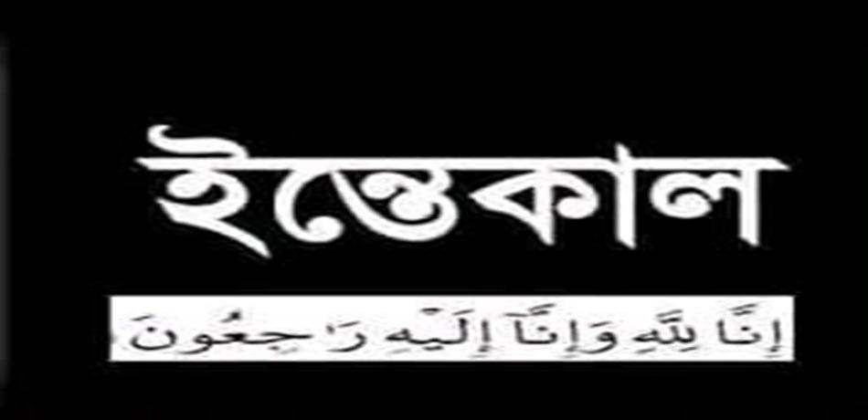 মোল্লাহাট প্রেসক্লাব সদস্য মনির হোসেনের মাতা বেগম রোকেয়া আর নেই