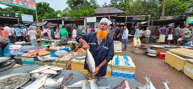 লাইভ মাওয়া মাছের আড়ৎ থেকে।