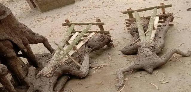 ঠাকুরগাঁওয়ের রাণীশংকৈলে কেন্দ্রীয় শ্মশান কালী মন্দিরে প্রতিমা ভাঙচুর