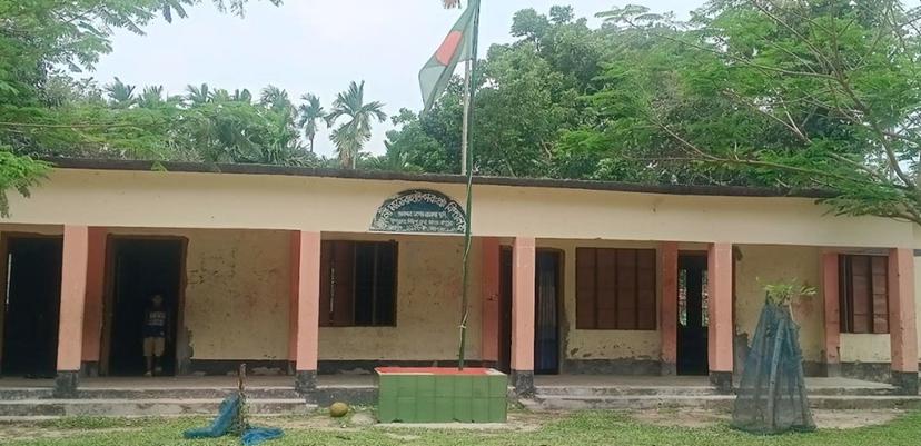 টেন্ডার ছাড়াই ৬ লাখ টাকার গাছ বিক্রির অভিযোগ প্রধান শিক্ষকের বিরুদ্ধে