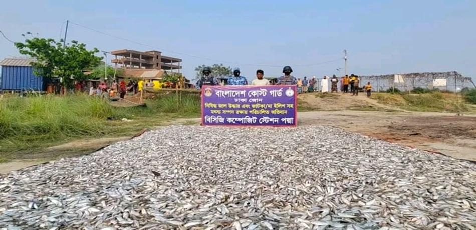 মুন্সীগঞ্জে ২০ লাখ টাকার জাটকা জব্দ