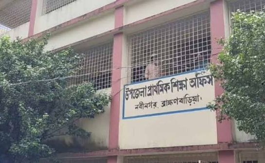 নবীনগরে ১৫০ প্রধান শিক্ষক পদ শূন্য,সংকটে শিক্ষা ব্যবস্থা