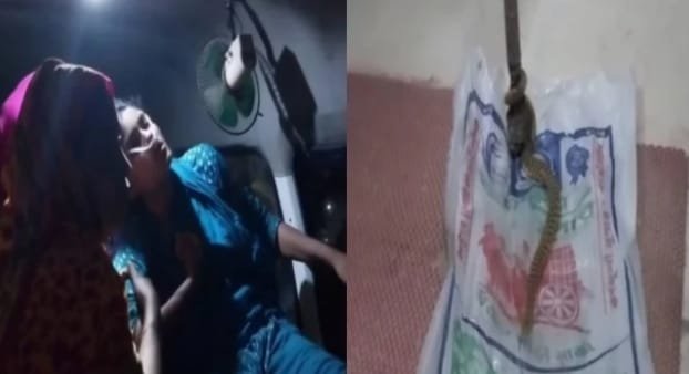 শেরপুরে আ/হ/ত মেয়েকে নিয়ে হাসপাতালে উপস্থিত বাবা সা/প নিয়ে