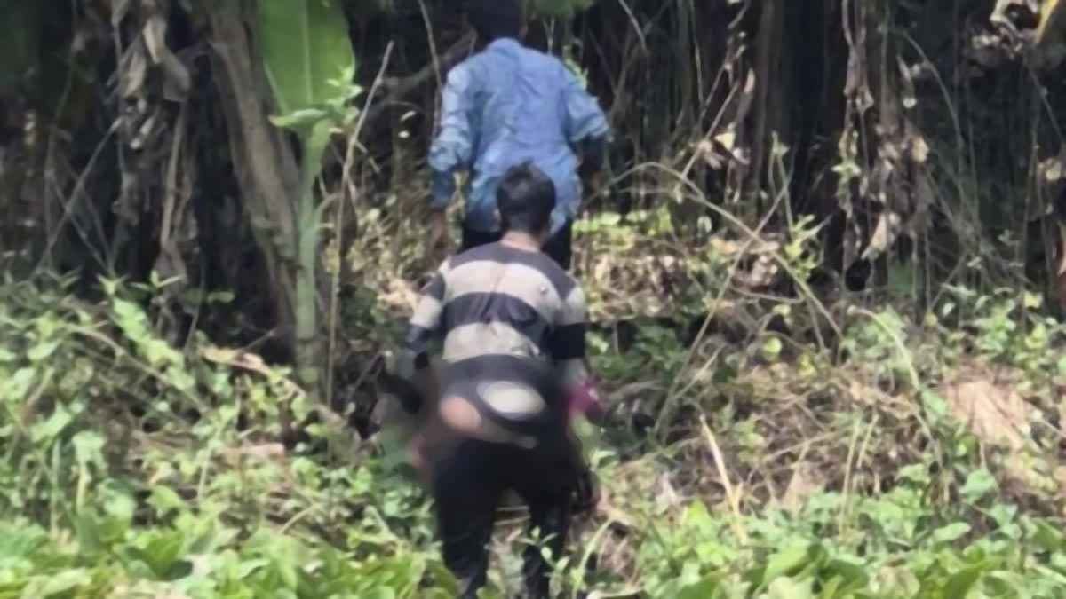 ঝিনাইদহ সীমান্তে ৪ জনকে পু'শইনের চেষ্টা,রুখে দিল বিজিবি