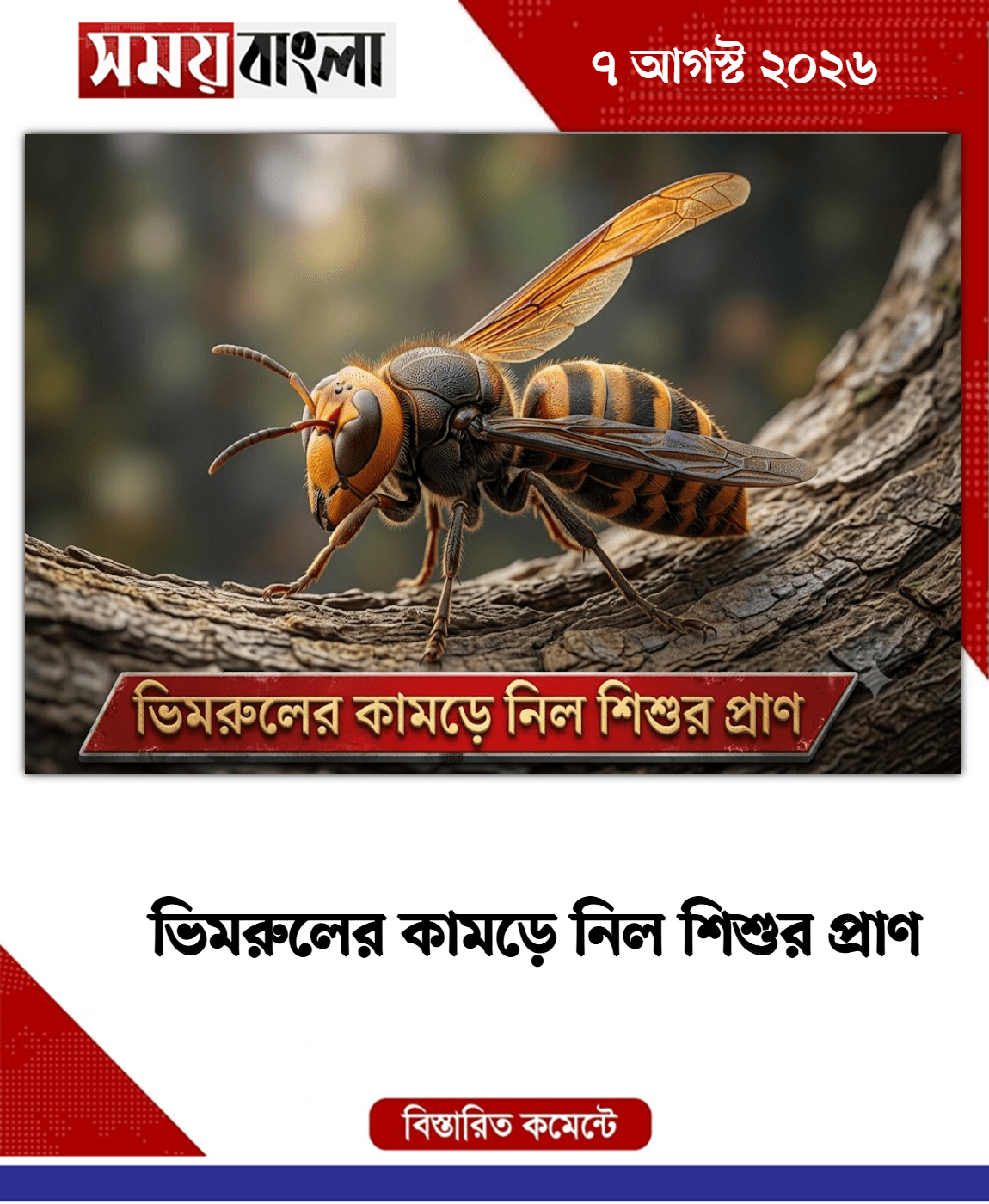 New Photo Card