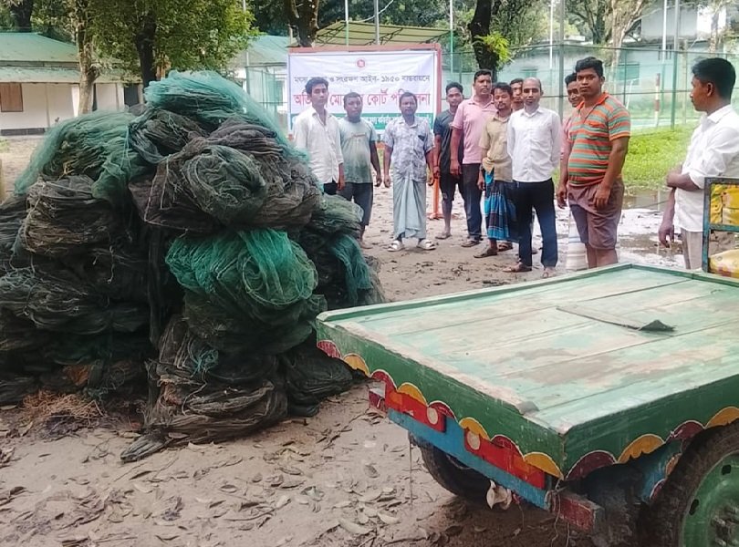 পীরগঞ্জে বিভিন্ন জলাশয় থেকে চায়না দুয়ারী ও কারেন্ট জাল জব্দ