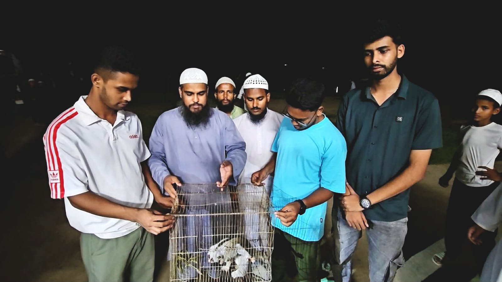 লোকালয়ে লজ্জাবতী বানর,স্বেচ্ছাসেবীদের উদ্যোগে বনে অবমুক্ত