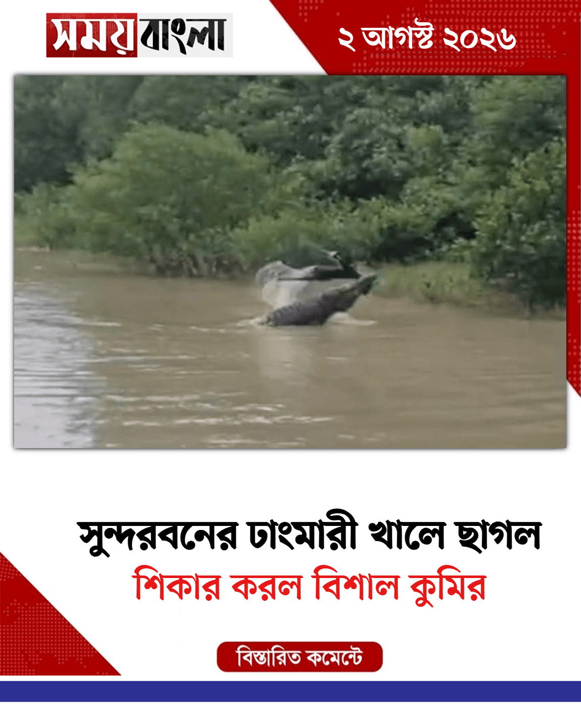 শিকার করল বিশাল কুমির