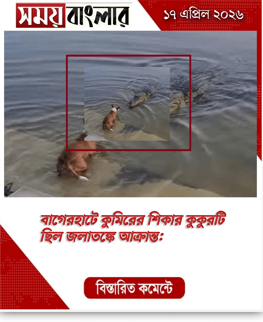 বাগেরহাটে কুমিরের শিকার কুকুরটি ছিল জলাতঙ্কে আক্রা