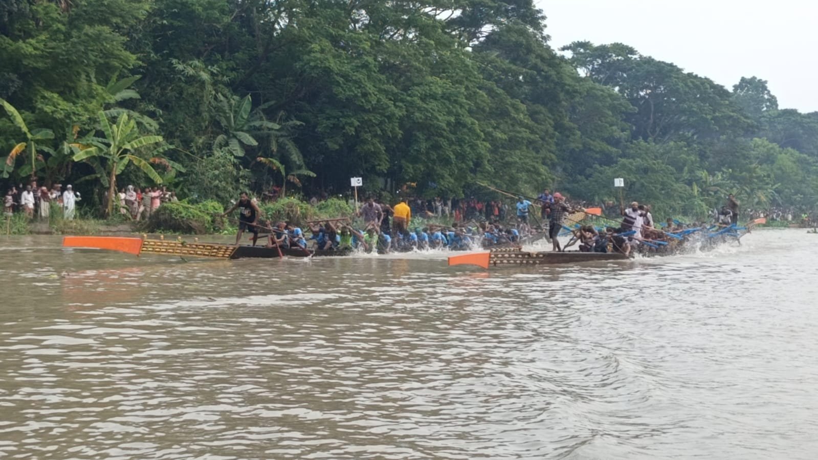 কুমার নদে নৌকাবাইচ,বৈঠার ছন্দে মুখর পূর্ব গাছবাড়িয়া