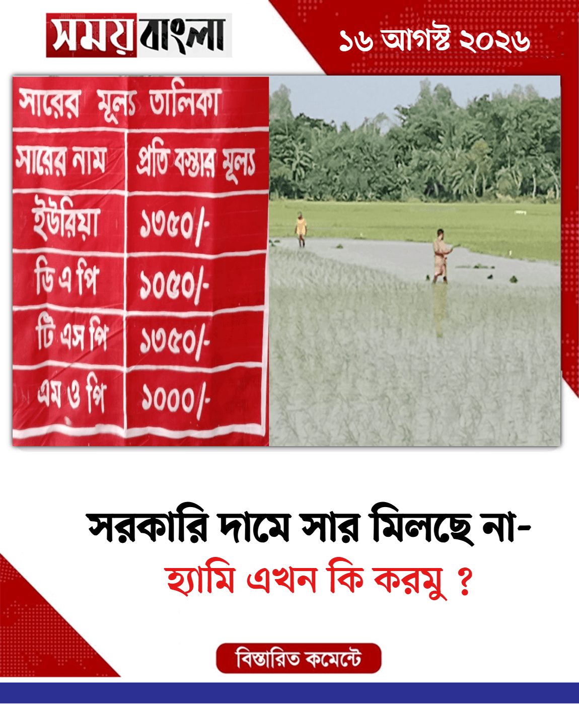 হ্যামি এখন কি করমু ? 