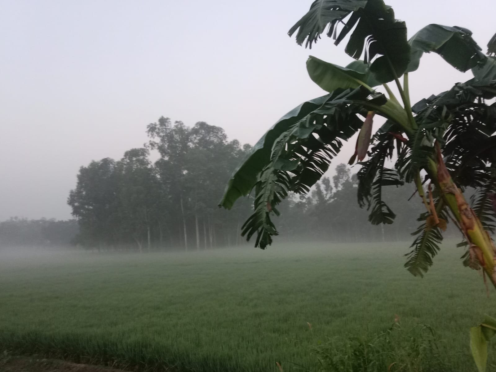 উত্তরে জেলা ঠাকুরগাঁওয়ে শীতের আগাম বার্তা