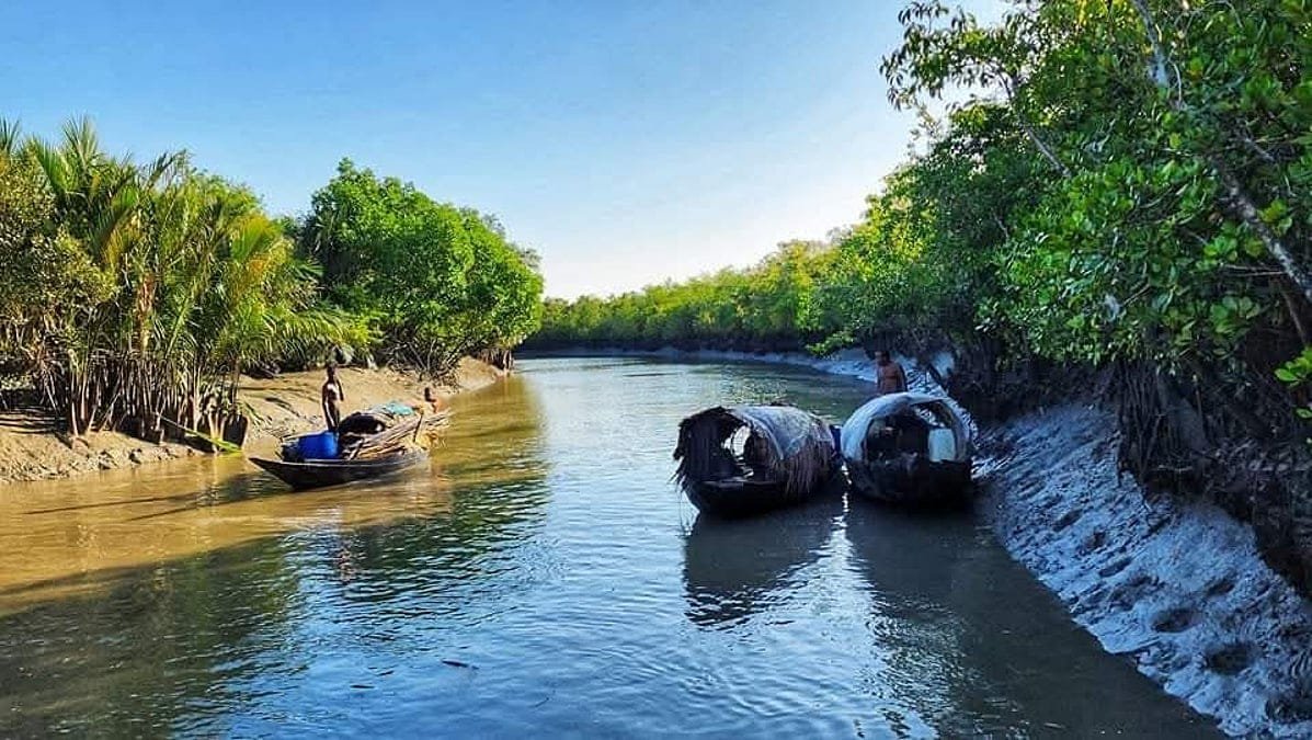 তিন মাস নিষেধাজ্ঞার পর প্রাণচাঞ্চল্যে সুন্দরবন আজ সেপ্টেম্বর থেকে সবারর জন্য উন্মুক্ত