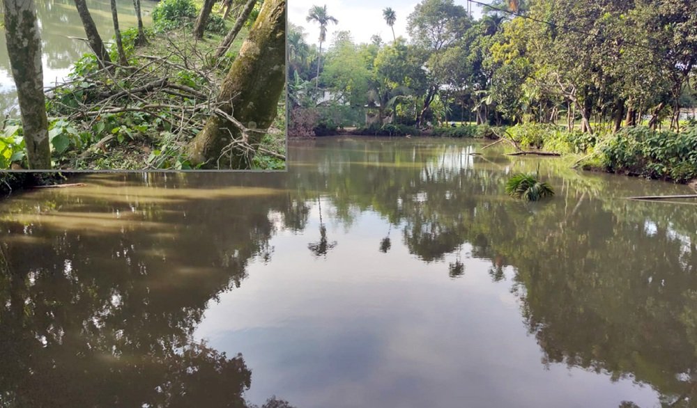 দেশী জাতীয় মাছের পুকুরে রাতের আঁধারে চু'রি থানায় অ'ভি'যো'গ