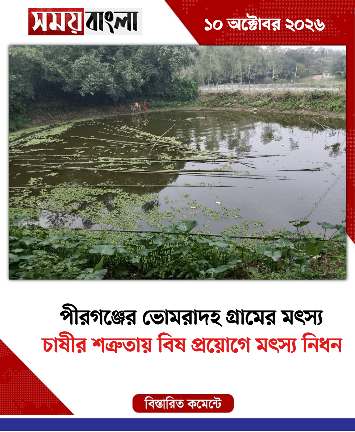 চাষীর শত্রুতায় বিষ প্রয়োগে মৎস্য নিধন