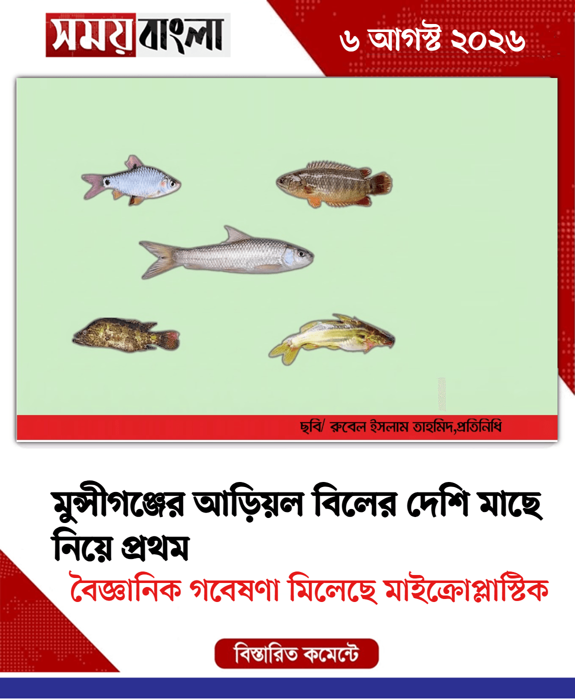 বৈজ্ঞানিক গবেষণা মিলেছে মাইক্রোপ্লাস্টিক