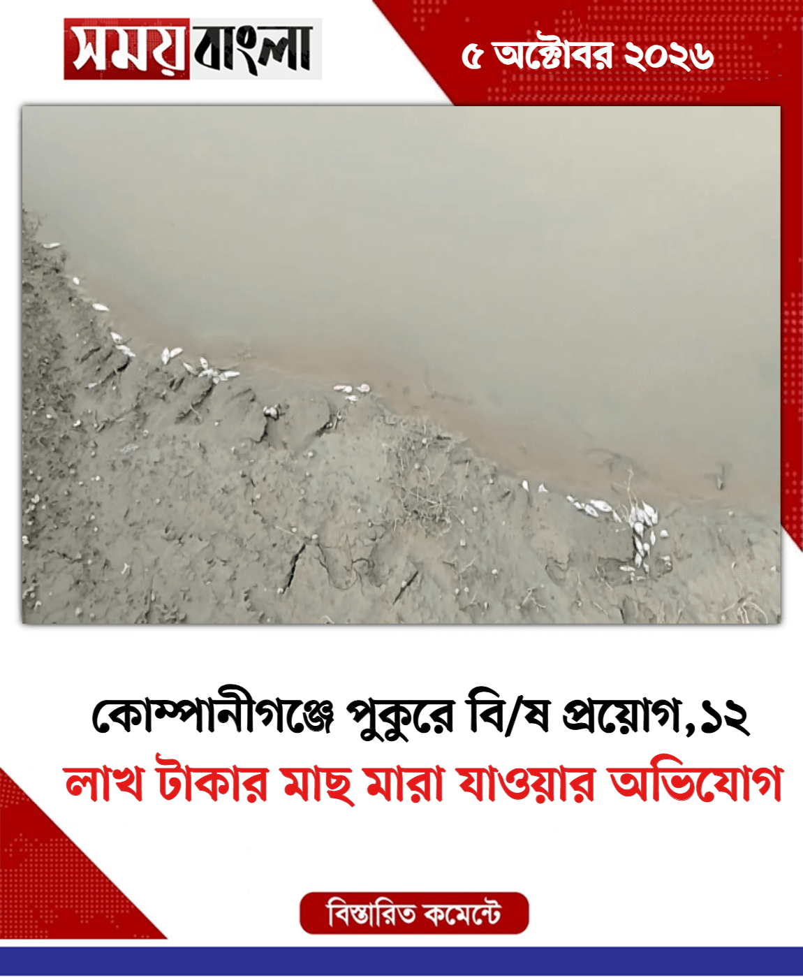 লাখ টাকার মাছ মারা যাওয়ার অভিযোগ