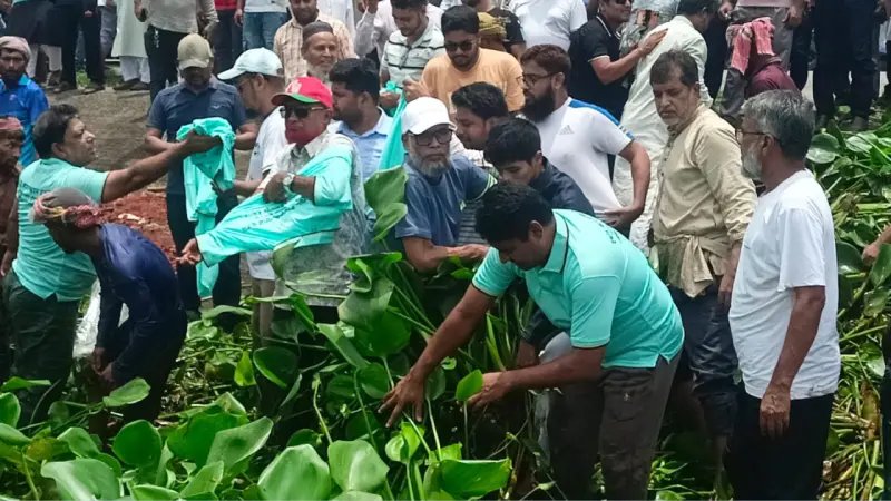 কচুরিপানা পরিষ্কার করলেন জনদুর্ভোগ কমাতে-এমপি কামরুজ্জামান রতন