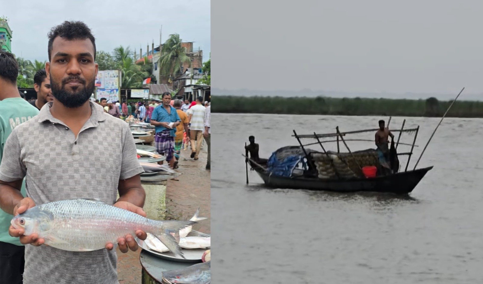 পদ্মায় ইলিশের আকাল, হতাশ জেলেরা