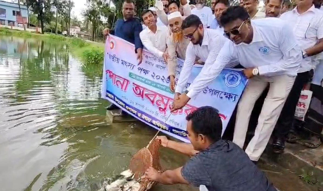 গলাচিপায় জাতীয় মৎস্য পক্ষ উদযাপন