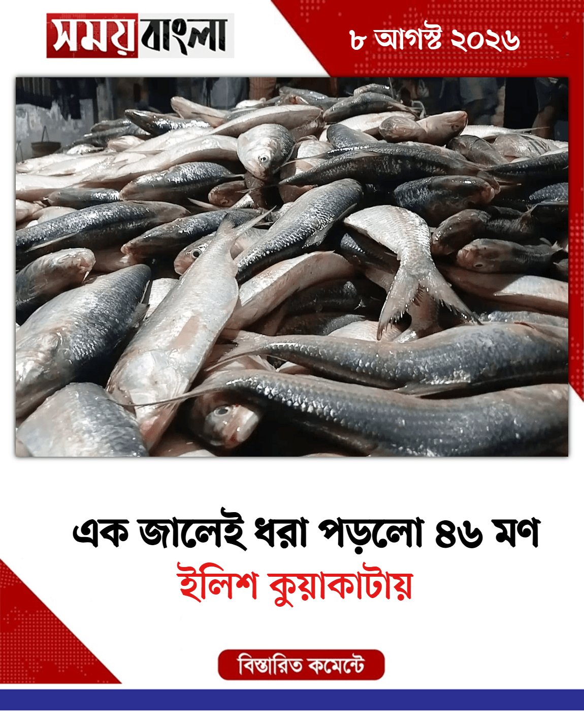 ইলিশ কুয়াকাটায় 
