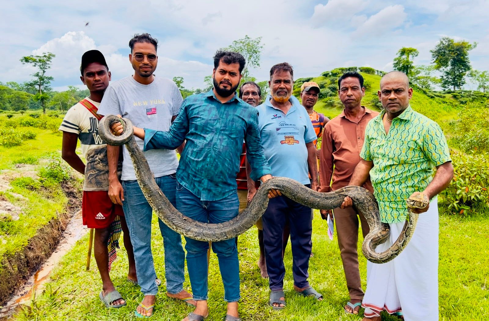 শ্রীমঙ্গলের চা বাগান থেকে ১৬ ফুট লম্বা অজগর উদ্ধার