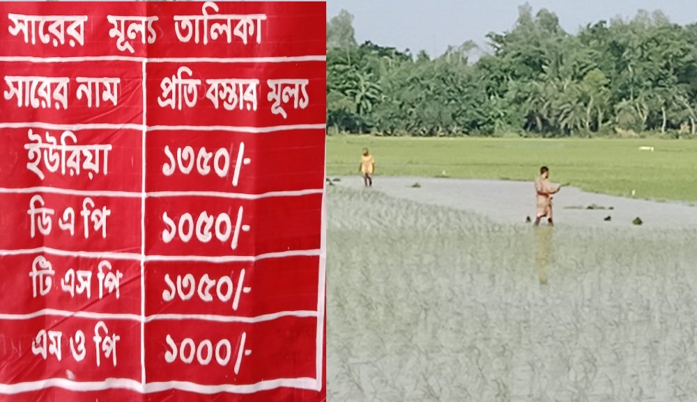 সরকারি দামে সার মিলছে না,হ্যামি এখন কি করমু ?