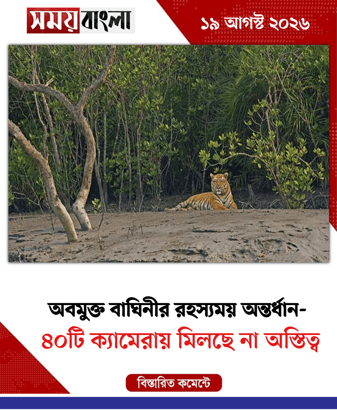 ৪০টি ক্যামেরায় মিলছে না অস্তিত্ব
