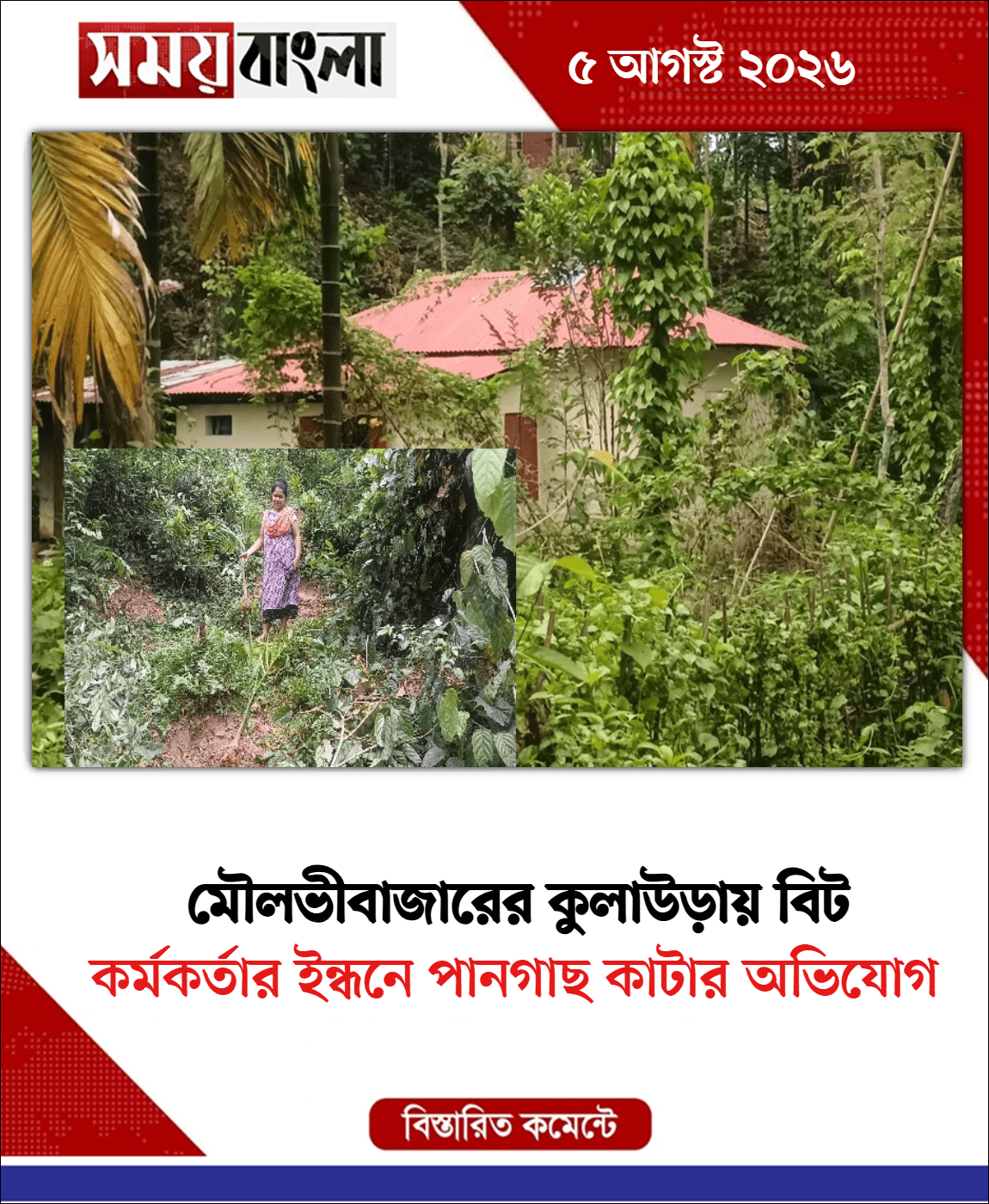 কর্মকর্তার ইন্ধনে পানগাছ কাটার অভিযোগ
