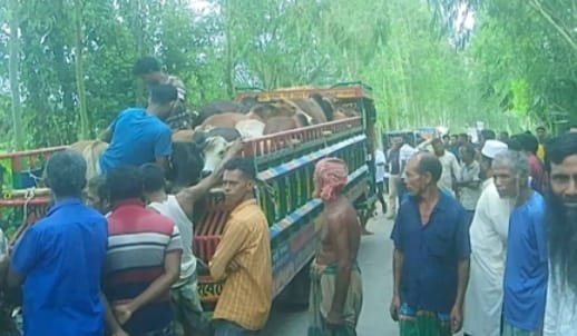 শেরপুরে ঝিনাইগাতী গরু আটককে কেন্দ্র করে উত্তেজনা হয়