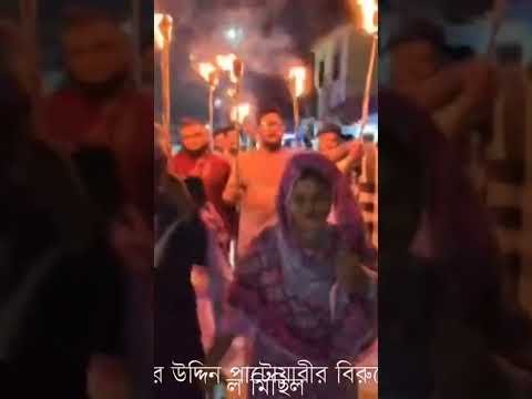 এনসিপি ও নাসির উদ্দিন পাটোয়ারীর বিরুদ্ধে ছাত্রদল-যুবদলের মশাল মিছিল