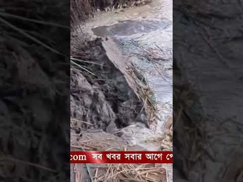 তিস্তার পানি কমতেই গঙ্গাচড়ায় ভ'য়া'বহ ভা'ঙ'ন ঝুঁকিতে জনপদ