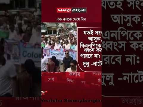 যতই সংকট আসুক বিএনপিকে কেউ ধ্বংস করতে পারবে না: হুইপ দুলু - নাটোর
