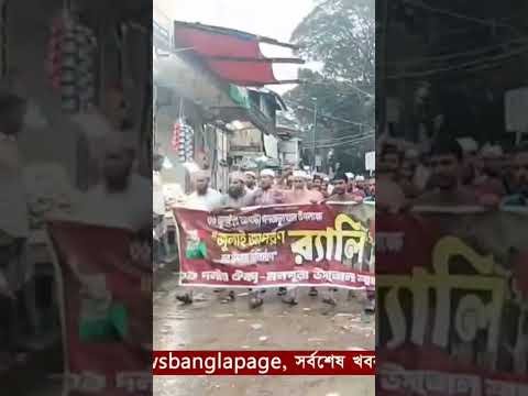 মনপুরায় জুলাই-গণঅভ্যুত্থান দিবস উপলক্ষে ১১ দলীয় ঐক্যের র‌্যালি অনুষ্ঠিত হয়েছে