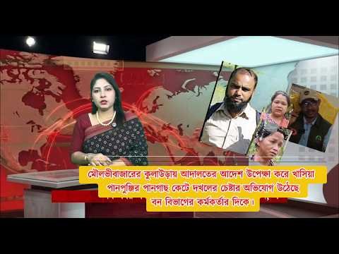 কুলাউড়ায় আদালতের আদেশ উপেক্ষা করে খাসিয়া পানপুঞ্জির গাছ কেটে দখলের অভিযোগ বন বিভাগের কর্মকর্তার দিকে