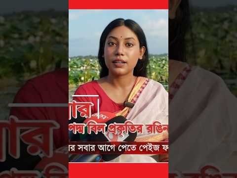 কুমিল্লার পদ্ম বিল প্রকৃতির রঙিন মায়াবী ক্যানভাস