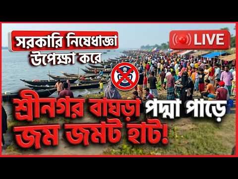 সরকারি নিষেধাজ্ঞা উপেক্ষা করে শ্রীনগর বাঘড়া পদ্মা পাড়ে / জম জমাট ইলিশের হাট দেখতে চলছি