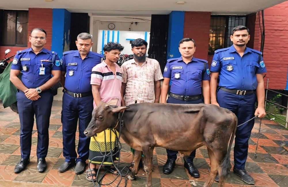 শ্রীনগরে চুরি হওয়া ষাঁড় উদ্ধার- গ্রেপ্তার জন ২